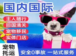 梧州西江机场快运国际宠物托运 【国